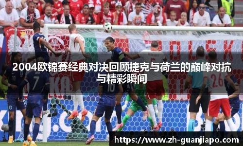 2004欧锦赛经典对决回顾捷克与荷兰的巅峰对抗与精彩瞬间
