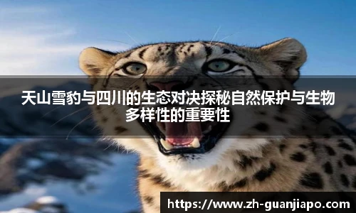 天山雪豹与四川的生态对决探秘自然保护与生物多样性的重要性