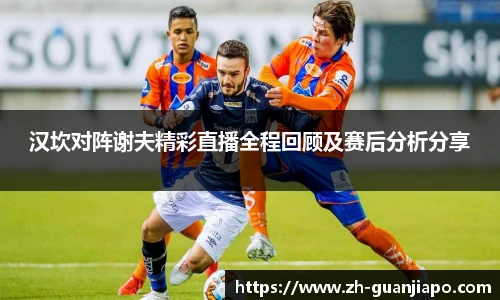 汉坎对阵谢夫精彩直播全程回顾及赛后分析分享